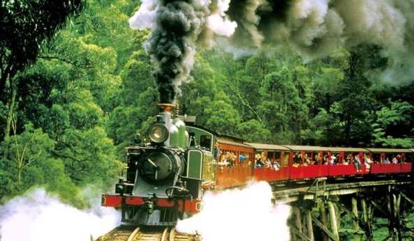 Tour Al Treno a vapore Puffing Billy