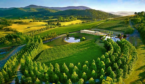 Cantine Yarra Valley