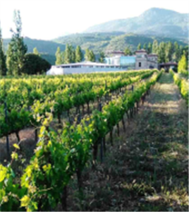 Dagtrip naar Vitoria en Alava’s Rioja regio vanaf Bilbao(BIORIOJA) Dagtrip naar Vitoria en Alava’s Rioja regio vanaf Bilbao(BIORIOJA)