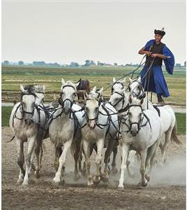 Puszta Tour Puszta Tour