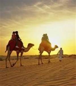Meio Dia de Safari no Deserto Meio Dia de Safari no Deserto