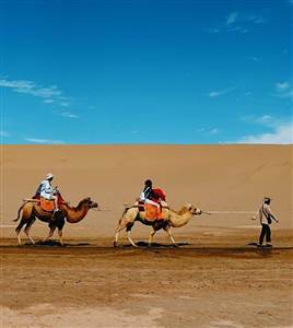 Safari dans le désert d’une demi-journée Safari dans le désert d’une demi-journée