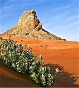 Heldag Hatta Safari Heldag Hatta Safari