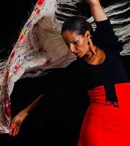 De Flamenco show in het paleis van de Flamenco De Flamenco show in het paleis van de Flamenco