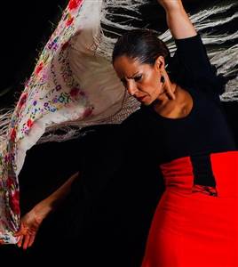 Spettacolo di flamenco al Palacio del Flamenco Spettacolo di flamenco al Palacio del Flamenco