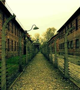 El Museo del Holocausto de Auschwitz (Guía español) El Museo del Holocausto de Auschwitz (Guía español)