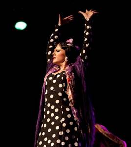 Spectacle de Flamenco Spectacle de Flamenco