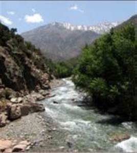 Atlas Mountain - Ourika Tal Atlas Mountain - Ourika Tal