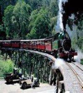 Tour di mattina Al Treno a vapore Puffing Billy Tour di mattina Al Treno a vapore Puffing Billy