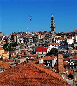 Oporto City Tour Oporto City Tour