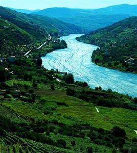 Passeio do Vinho "Vale do Douro" Passeio do Vinho "Vale do Douro"