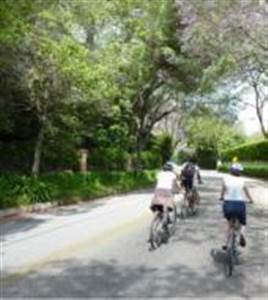 Passeio pelo Parque e Jardins guia Inglês Passeio pelo Parque e Jardins guia Inglês