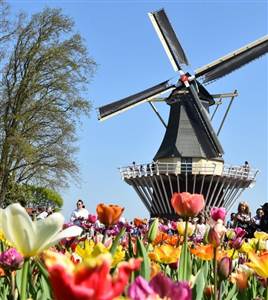 Tour to Keukenhof & Flowerfields from the Hague Tour to Keukenhof & Flowerfields from the Hague