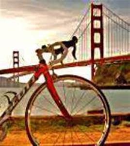 Golden Gate Tour de Bicicleta Golden Gate Tour de Bicicleta
