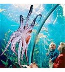 De Bay Aquarium De Bay Aquarium