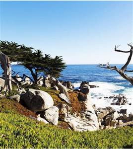 Monterey & Carmel Tour Monterey & Carmel Tour