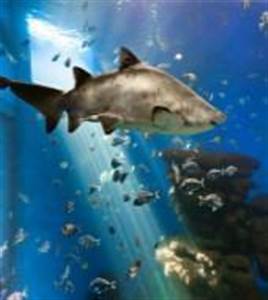 Palma Aquarium Palma Aquarium
