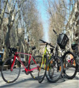 Bike Rental at Palma de Mallorca Bike Rental at Palma de Mallorca