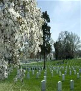 Mount Vernon, Cementerio Nacional de Arlington y DC After Dark Mount Vernon, Cementerio Nacional de Arlington y DC After Dark