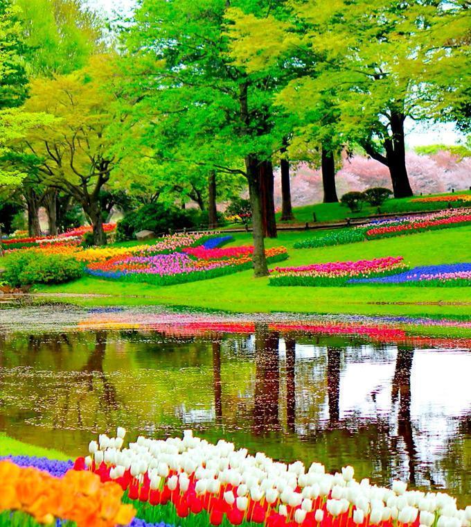 bus-skip-the-line-entrance-keukenhof_small.jpg Przejazd autobusem i bilet wstępu bez kolejki do Keukenhof