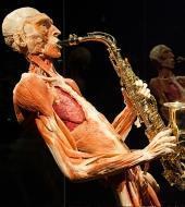 BODY WORLDS: The Happiness Project BODY WORLDS: The Happiness Project
