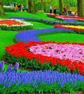 Canal Cruise & Ticket Keukenhof Canal Cruise & Ticket Keukenhof