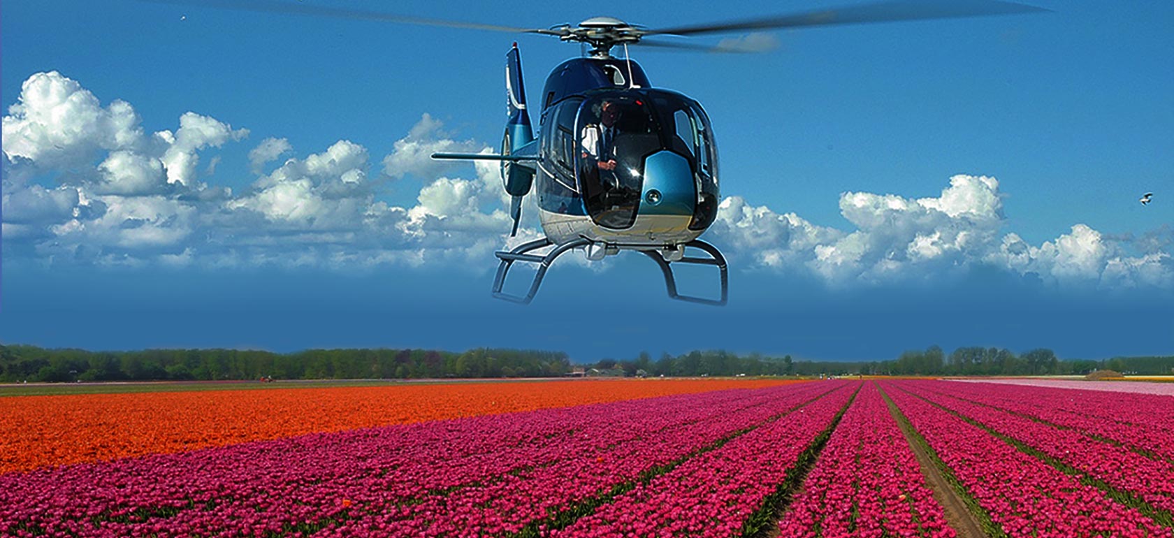 /amsterdam/classificaties/helicopter-tours/keukenhof-flower-fields-helicopter-tour/AMS-HELI-LONG-1517218279.jpg Keukenhof Helicopter Tour (incl. entrance Keukenhof)