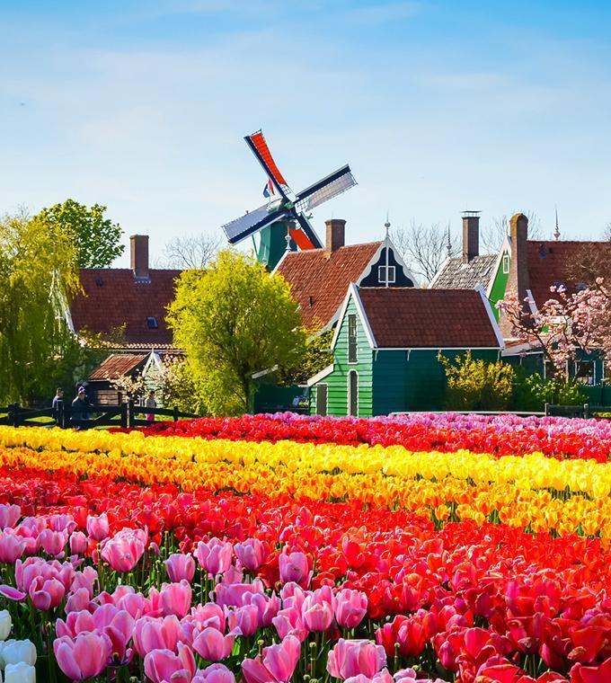 excursao-ao-keukenhof-desde-roterdam-e-da-haia_small.jpg Excursão ao Keukenhof desde Roterdão (Não disponível)