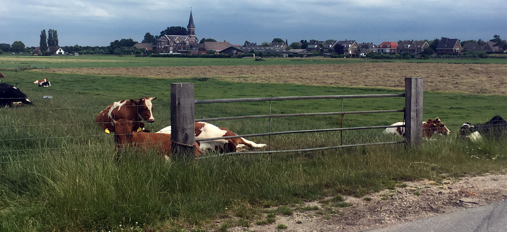 /amsterdam/classificaties/tour-in-bici/dutch-countryside-bike-tour--it/bike-header-1530098464-1530722281.jpg Tour della campagna olandese in bici: ‘polder’, mulini a vento, laghi e formaggi