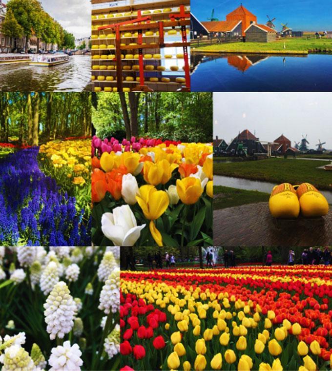Keukenhof e Zaanse Schans e barco com guia brasileiro Keukenhof e Zaanse Schans e barco com guia brasileiro