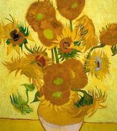 croisiere-sur-le-canal-et-musee-van-gogh_small.jpg Croisière sur le canal et Musée Van Gogh