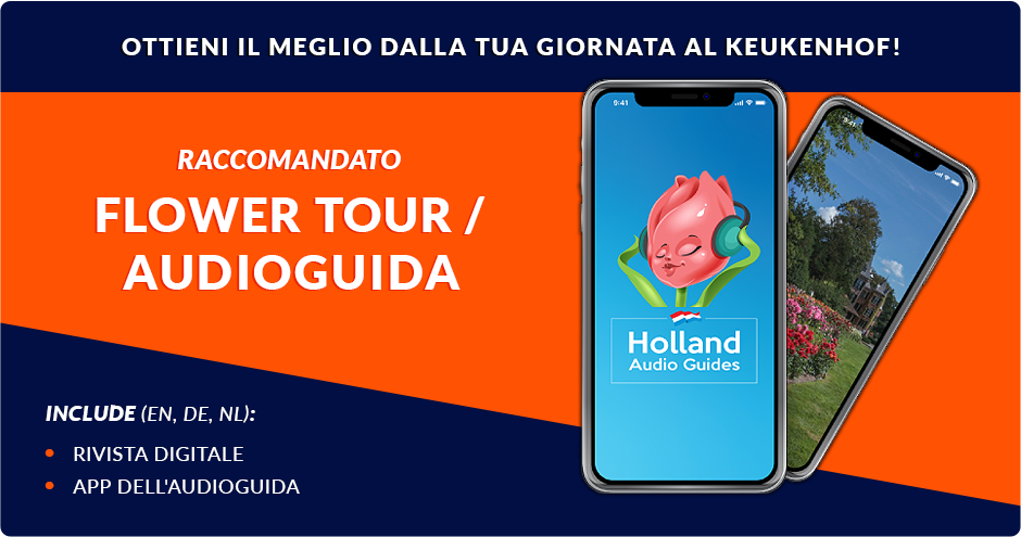 Keukenhof-Recommended-Banner-Italian