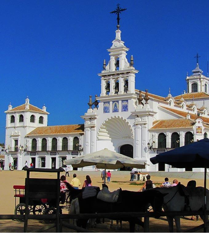Doñana a partir de Sevilha – Dia Inteiro (SVQDONAN) Doñana a partir de Sevilha – Dia Inteiro (SVQDONAN)