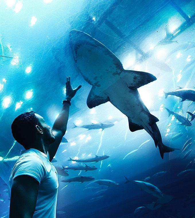 L'Aquarium Barcelona L'Aquarium Barcelona