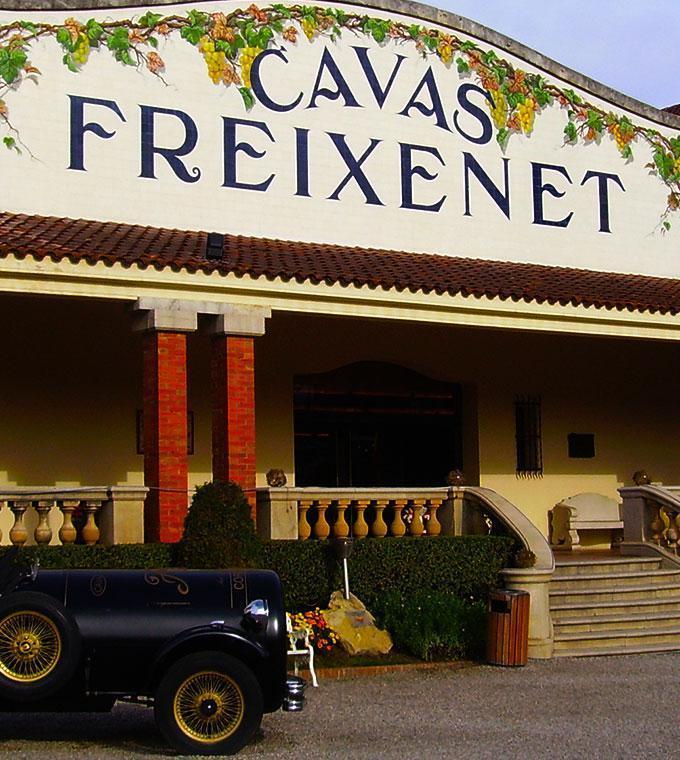 Wein & Cava Tour Wein & Cava Tour