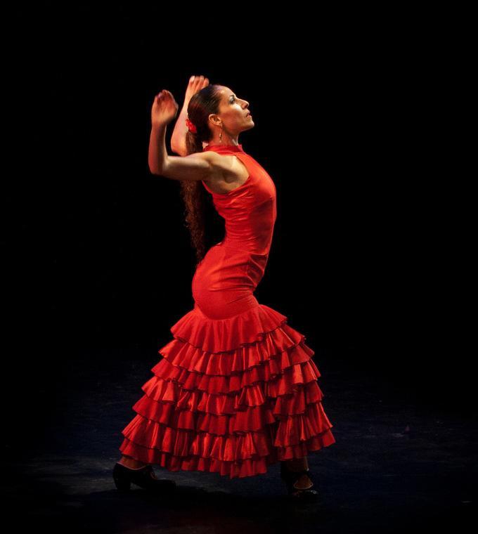 Flamenco at the Palau Dalmases Flamenco at the Palau Dalmases