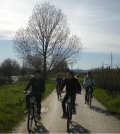 electric-bike-tour-of-florence-and-its-hills_small.jpg Tour de Florence et ses collines à vélo électrique