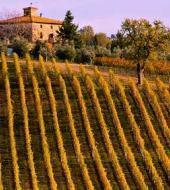 chianti-classico-montalcino-and-montepulciano_small.jpg Chianti Classico, Montalcino and Montepulciano
