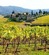 chianti-classico-tour-with-wine-tasting-dinner_small.jpg Chianti Classico Tour with Wine Tasting & Dinner