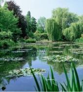 Um dia Monet : museu Orangerie e Giverny Um dia Monet : museu Orangerie e Giverny