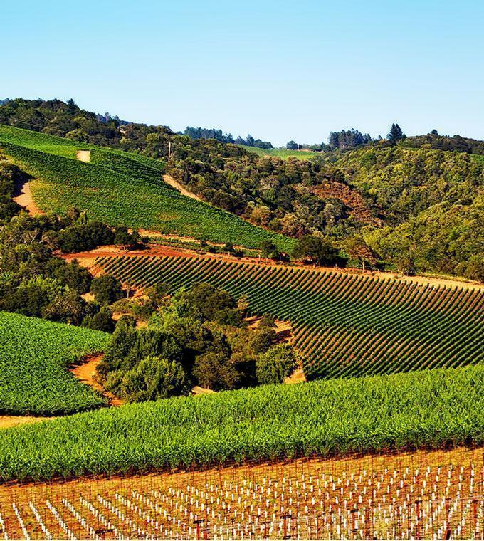 Sonoma en Napa Valley Wine Tours Sonoma en Napa Valley Wine Tours