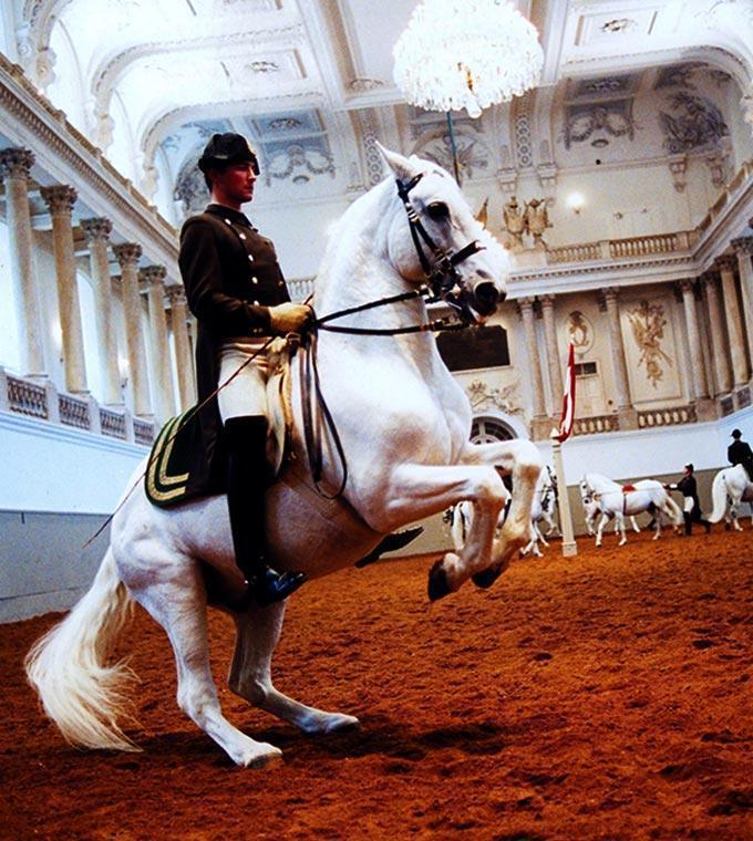 Spanish Riding School Spanish Riding School