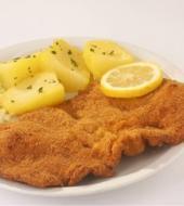 City Cruise & Schnitzel City Cruise & Schnitzel