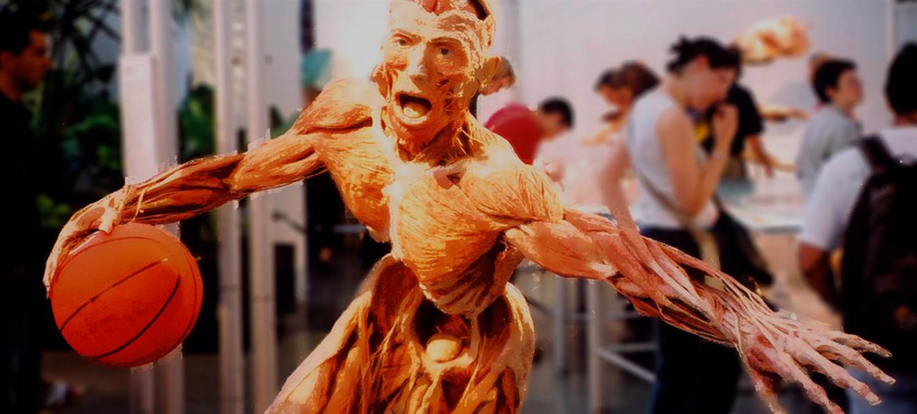 BODY WORLDS: The Happiness Project