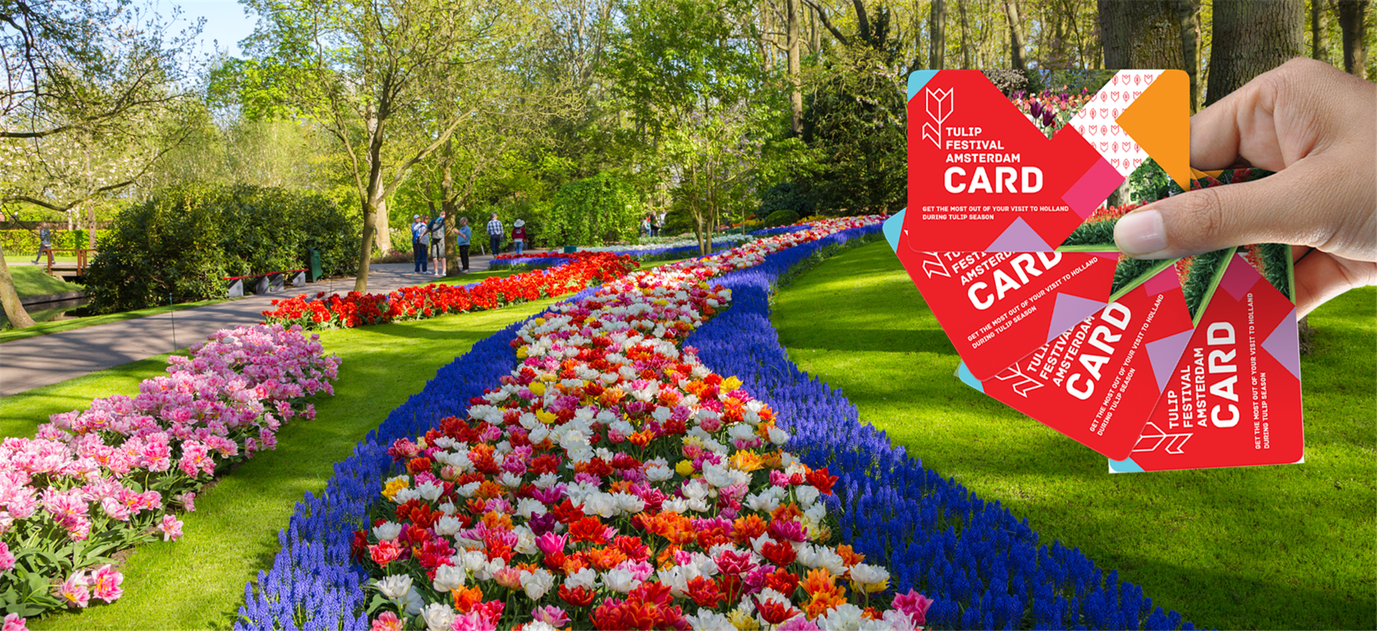 /amsterdam/classificaties/cartao-tulip-festival/flower-card-header-new-1573207217-1575558756.png Cartão Tulip Festival