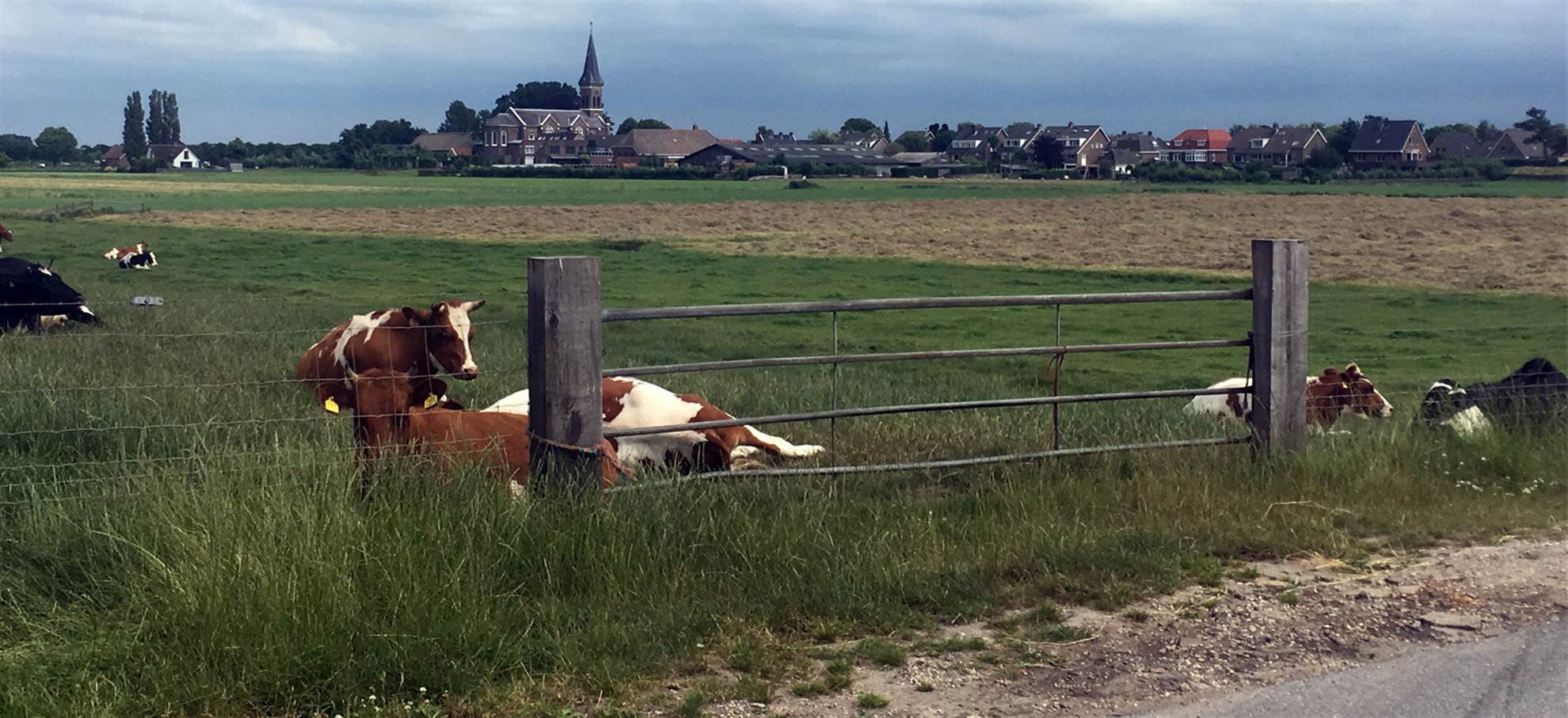 /amsterdam/classificaties/fietstours/dutch-countryside-bike-tour--nl/bike-header-1530098464-1530723140.jpg Fietsrit over het Nederlandse platteland: 'polder', windmolens, meren en kaas