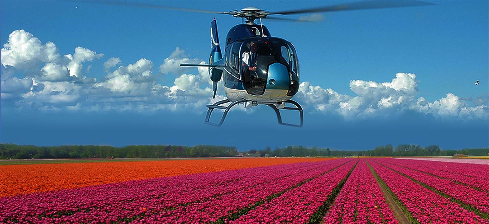/amsterdam/classificaties/highlights/tulipfield-helicopter-flight-only/ams-heli-long-1518019325-1518103821.jpg Hubschrauberflug über die Tulpenfelder