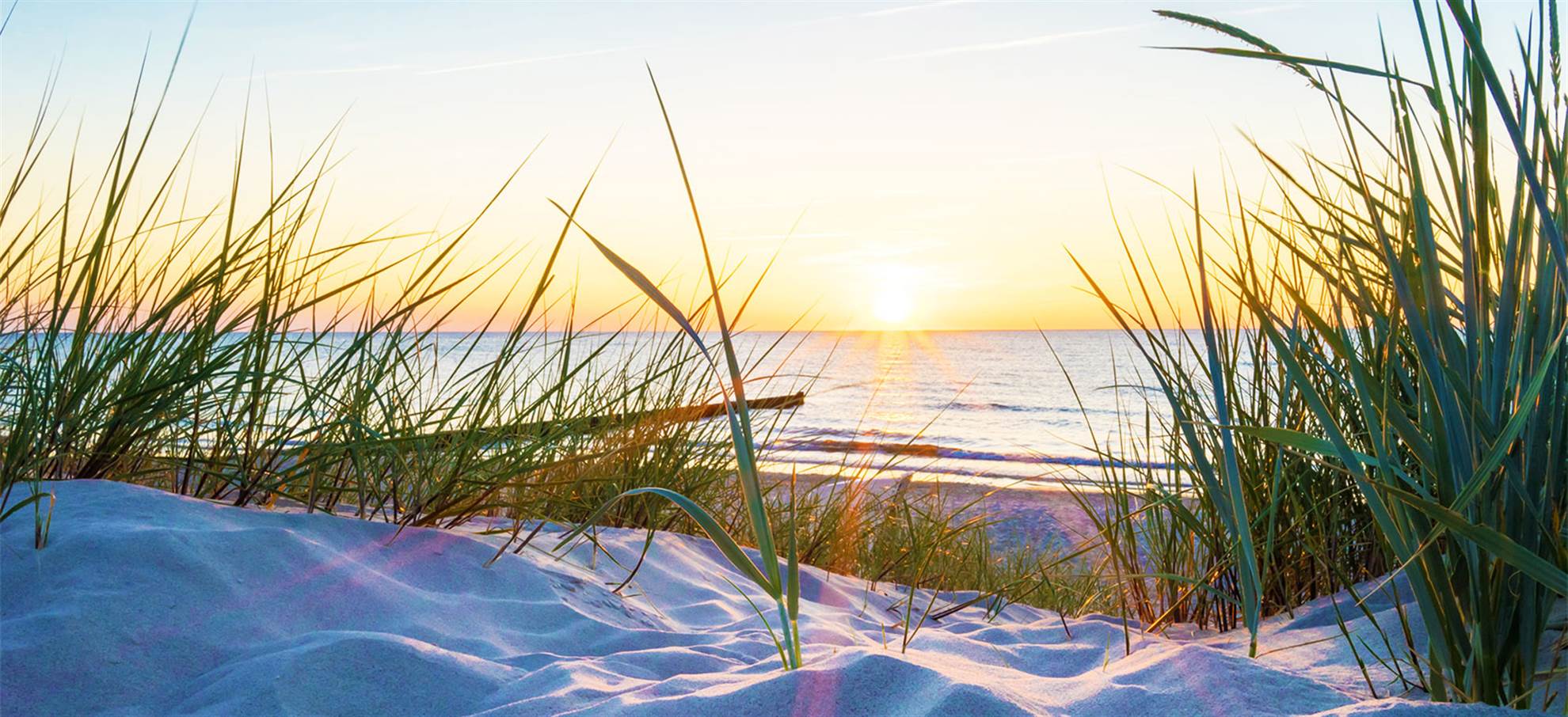 /amsterdam/classificaties/keukenhof/dune-and-beach-tour/noordwijk_beach_header-1561716017-1562069048.jpg Dune and Beach Excursion: Meet the country below Sea Level!