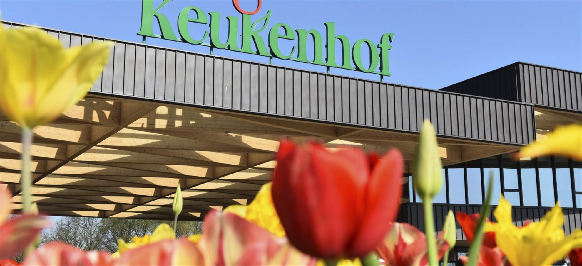 /amsterdam/classificaties/keukenhof/excursao-ao-keukenhof-desde-roterdam-e-da-haia/keukenhof-from-rotterdam-header-1572263099.jpg Excursão ao Keukenhof desde Roterdão
