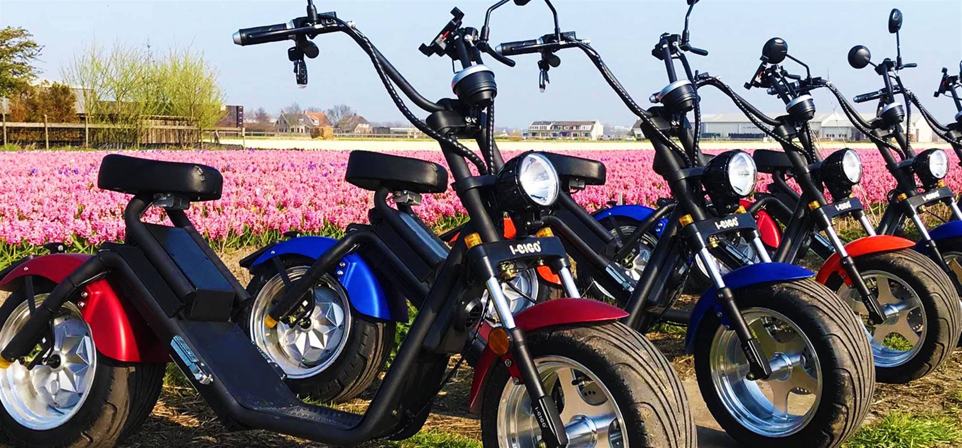 /amsterdam/classificaties/keukenhof/flower-tour-summer-edition-includes-dahlia-gardens/e-motos-header-1563434447-1565076346.jpg Flower Tour - Zomereditie (inclusief Dahlia bloemenvelden) (Actief en Boekbaar)